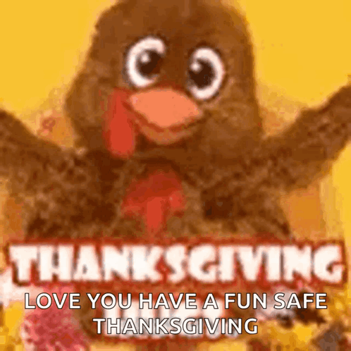 Funny Happy Thanksgiving Love You And Have Fun GIF