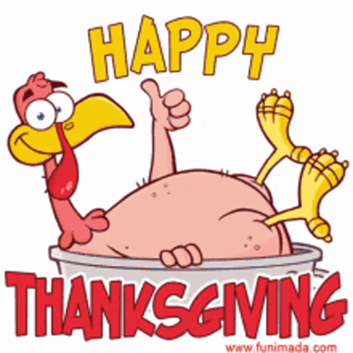 Funny Happy Thanksgiving Turkey Thumbs Up GIF