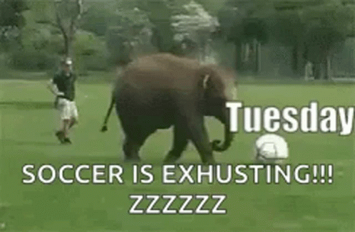 Funny Happy Tuesday Exhausted Elephant GIF