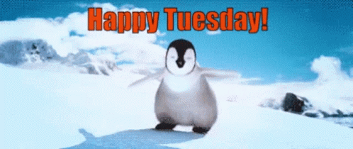 Funny Happy Tuesday Penguin Dancing GIF