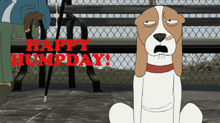 Funny Happy Wednesday Confused Twerking Dog GIF
