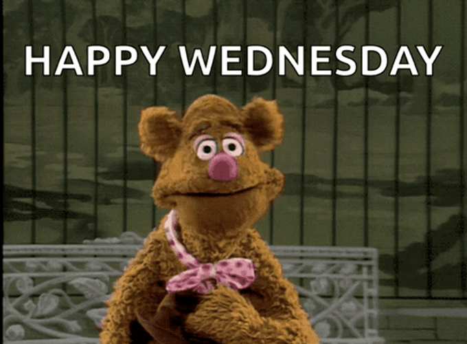 Funny Happy Wednesday Fozzie Bear The Muppets GIF