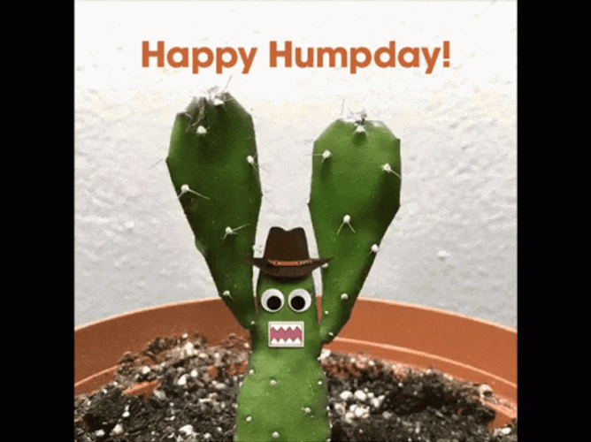 Funny Happy Wednesday Waving Cactus GIF