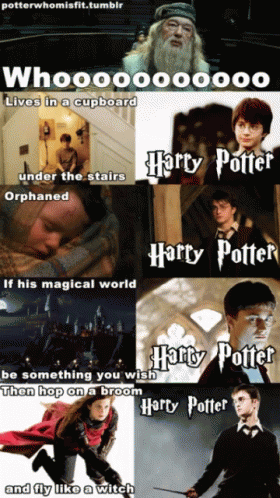 Funny Harry Potter Compilation GIF
