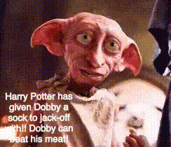 Funny Harry Potter Has Given Dobby A Sock GIF