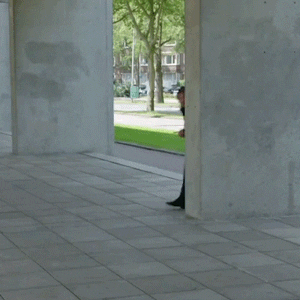 Funny Hello Stefano Keizers Hiding GIF