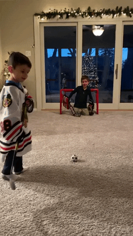 Funny Home Made Hockey Game Fail GIF