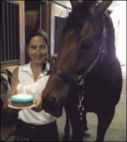 Funny Horse Blowing Candles GIF