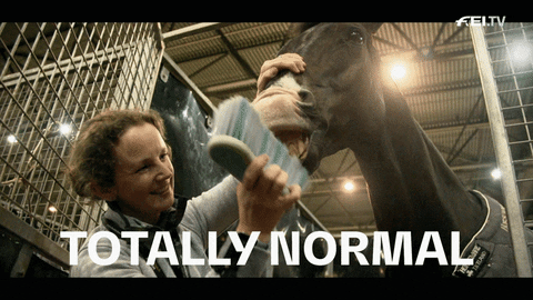 Funny Horse Brushing Teeth GIF