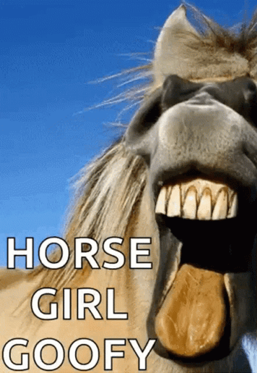 funny horse face meme