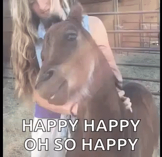 Funny Horse Happy Scratch GIF