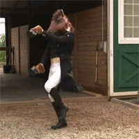 Funny Horse Mascot Dancing GIF