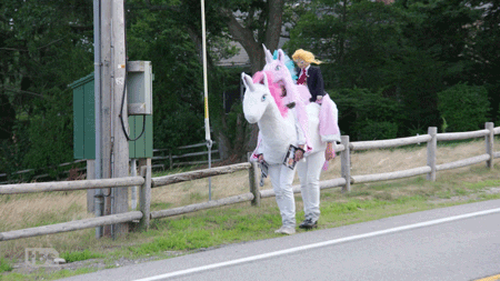 Funny Horse Pony Mascot GIF