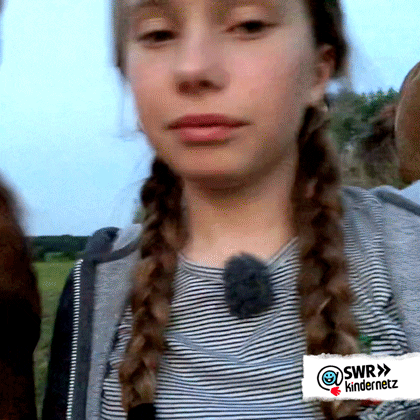 Funny Horse Tongue Lick GIF