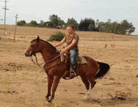Funny Horseback Riding Falling Fail GIF