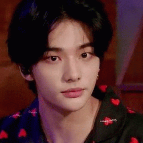 Funny Hyunjin Look Alike Ginger Cat GIF