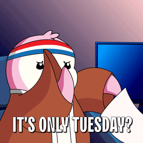 Funny It's Only Tuesday Mad Pudgy Penguin GIF