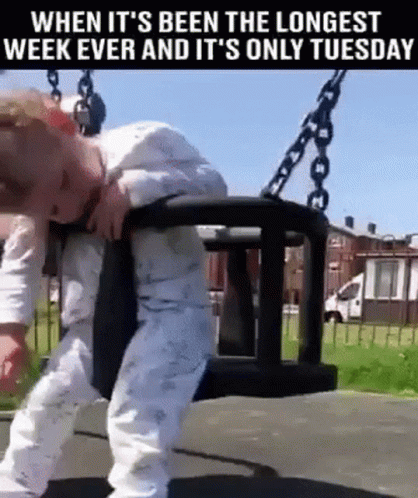 Funny It's Only Tuesday Sleeping Baby In Swing GIF