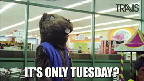 Funny It's Only Tuesday Travis Hedgehog GIF