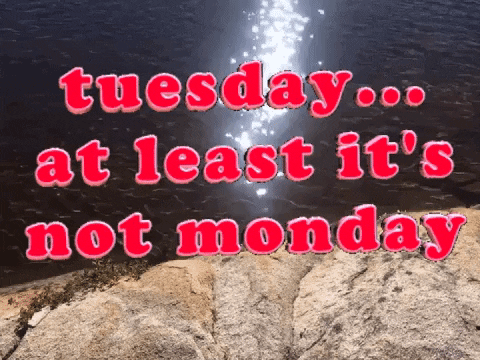 Funny It's Only Tuesday Water Mobile Design GIF