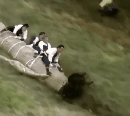 Funny Japanese Sports Log Jammer GIF