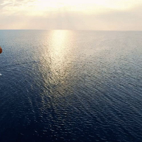 Funny Jayson Tatum Sea Travel Meme GIF