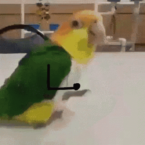 Funny Jumping And Dancing Party Parrot GIF