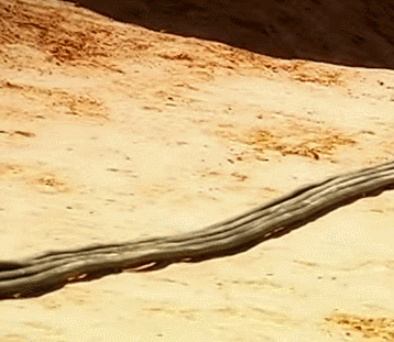 Funny K Lighting Reveal GIF