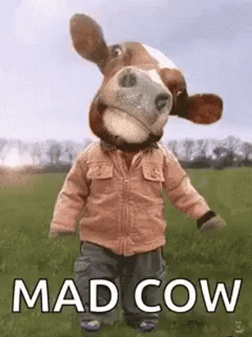 Funny Mad Cow GIF