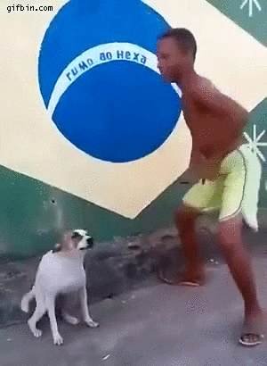 Funny Man And Dog Dancing GIF