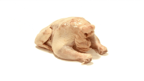 Funny Marinated Turkey Meme GIF