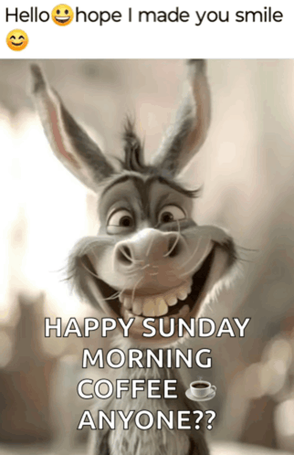 Funny Memes Happy Sunday Meme GIF