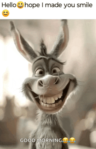 Funny Memes Happy Sunday Meme GIF