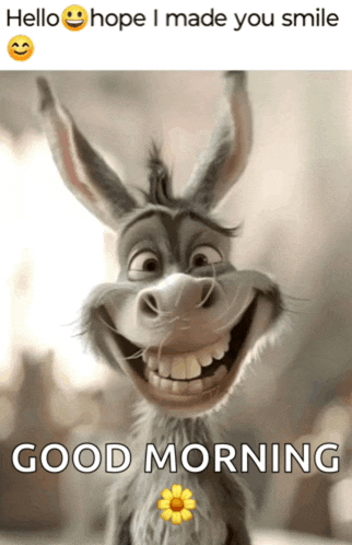 Funny Memes Happy Sunday Meme GIF