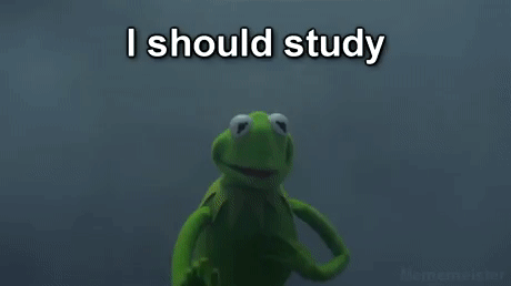 Funny Memes Study Life Kermit Frog GIF