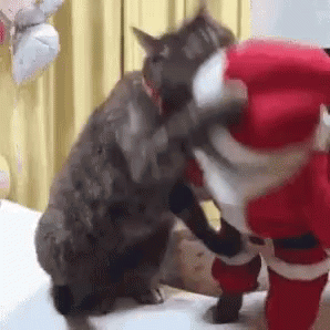 Funny Merry Christmas Fighting Santa Cat GIF