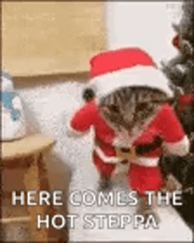 Funny Merry Christmas Santa Cat Walking GIF