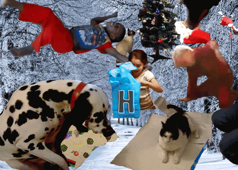 Funny Merry Christmas Cat Chaos GIF