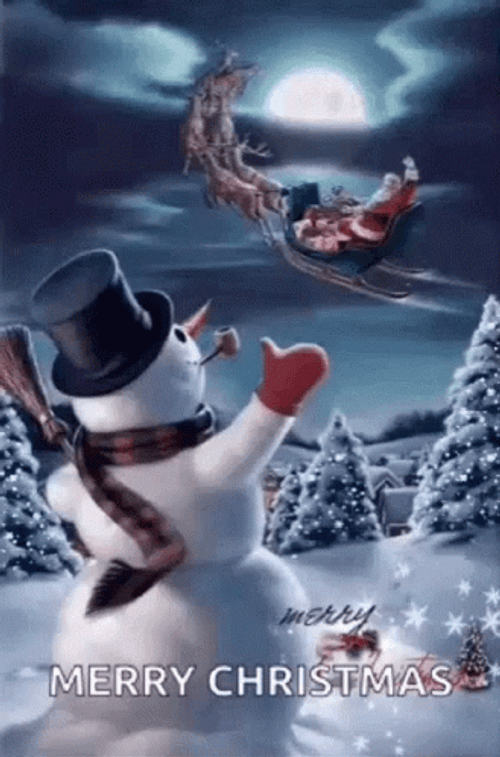 Funny Merry Christmas GIF
