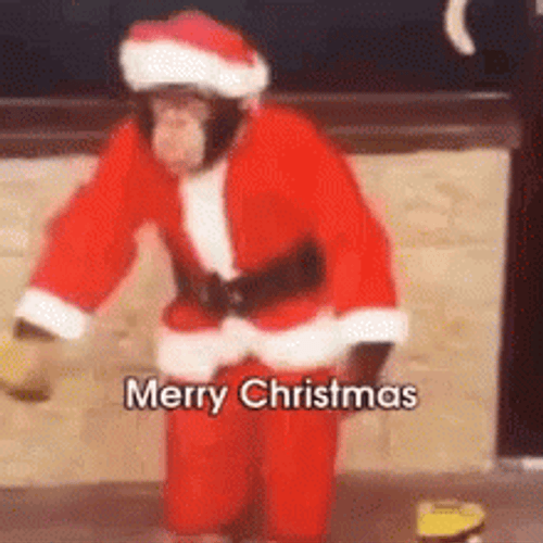 Funny Merry Christmas Monkey Santa Suit GIF