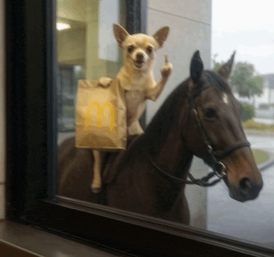 Funny Middle Finger Gen Z Meme Meme GIF