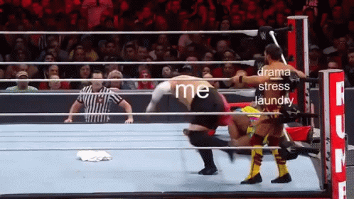 Funny Moment On Royal Rumble GIF