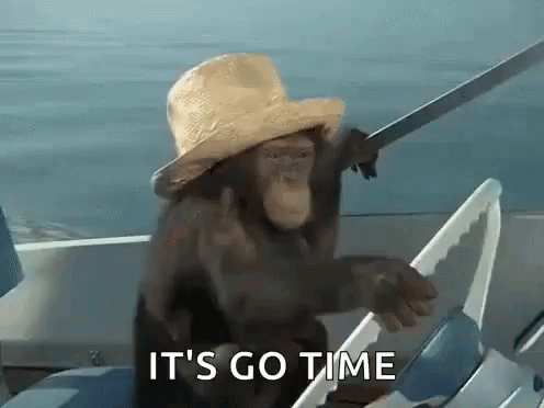 Funny Monkey Boat Driving GIF