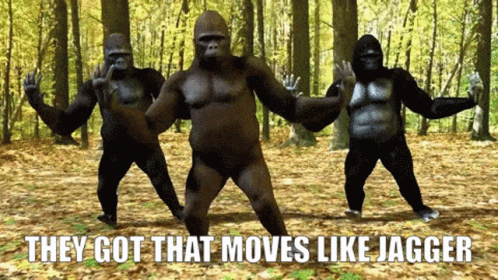 Funny Monkey Dancing Moves Like Jagger GIF