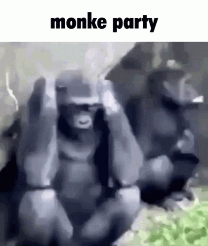 Funny Monkey Party Meme GIF