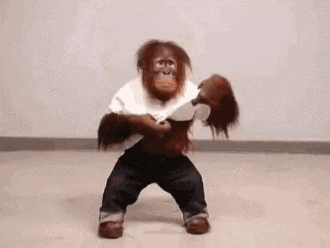 Funny Monkey Shirt Off GIF