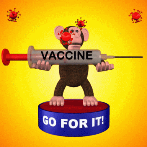 Funny Monkey Vaccine Go For It GIF