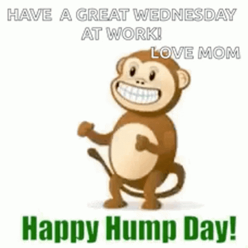 Funny Monkey Wacky Wednesday GIF
