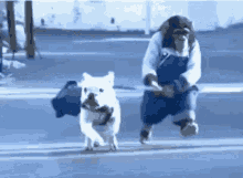 Funny Monkey Walking The Dog Fail GIF
