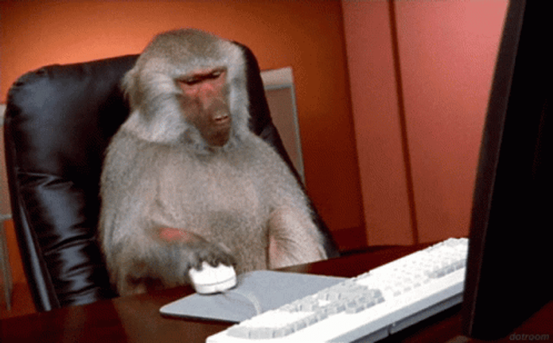 Funny Monkey GIFs GIFDB